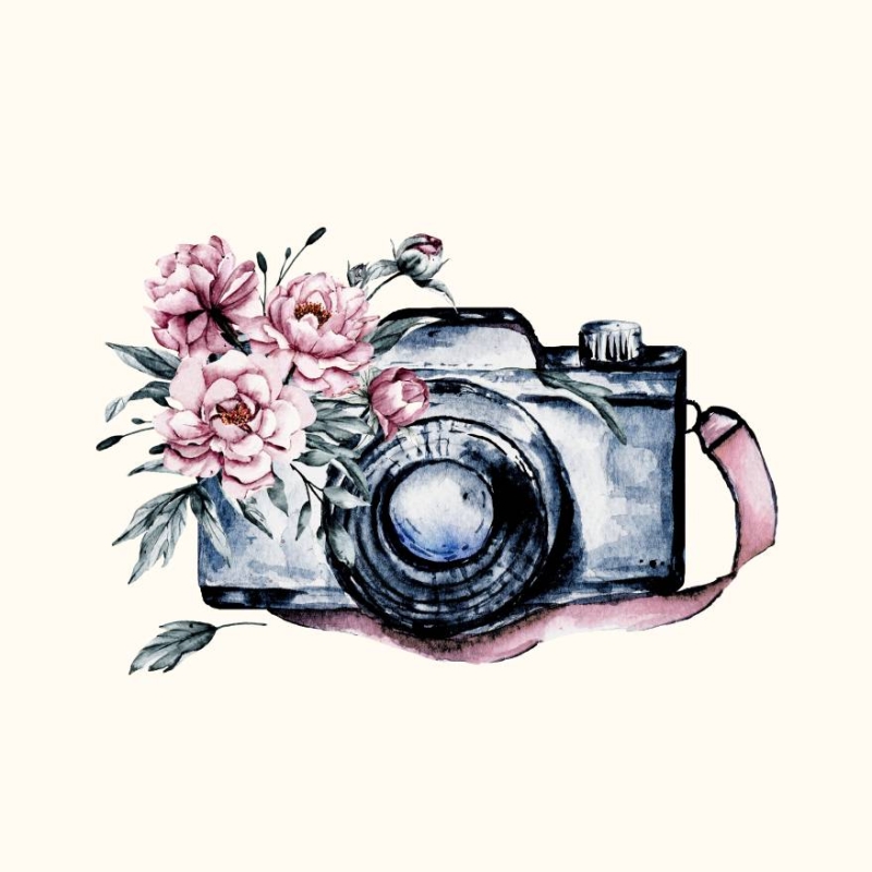 Nos prestations - Carnets de voyage - Restaurant Lorgues - restaurant a faire LORGUES